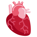 Twitter (Twemoji 14.0)  🫀  Anatomical Heart Emoji