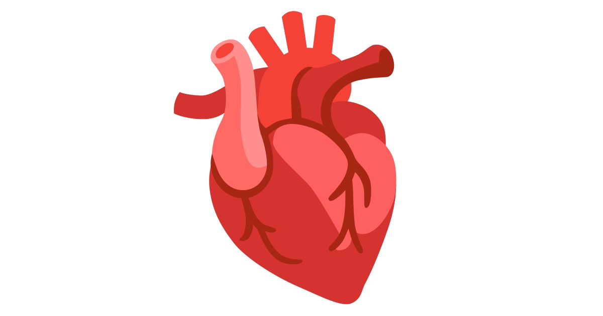 🫀  Anatomical Heart