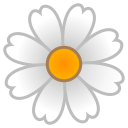 Google (Android 11.0)  🌼  Blossom Emoji