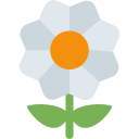 Twitter (Twemoji 14.0)  🌼  Blossom Emoji