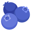 Google (Android 12L)  🫐  Blueberries Emoji