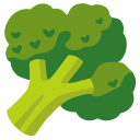 Google (Android 12L)  🥦  Broccoli Emoji