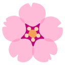 Google (Android 12L)  🌸  Cherry Blossom Emoji
