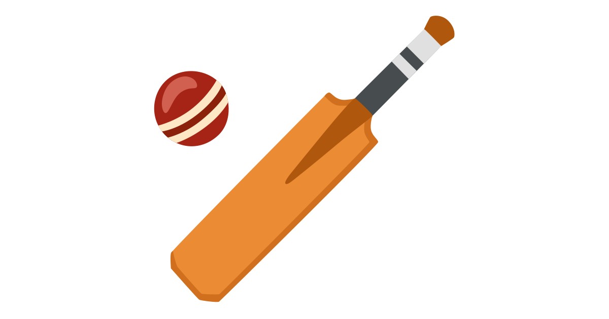 🏏  Cricket Game