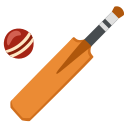 Google (Android 12L)  🏏  Cricket Game Emoji