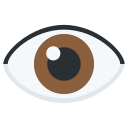 Twitter (Twemoji 14.0)  👁️  Eye Emoji