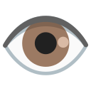 Google (Android 12L)  👁️  Eye Emoji