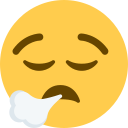 Twitter (Twemoji 14.0)  😮‍💨  Face Exhaling Emoji