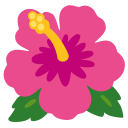 Google (Android 12L)  🌺  Hibiscus Emoji