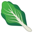 Google (Android 11.0)  🥬  Leafy Green Emoji