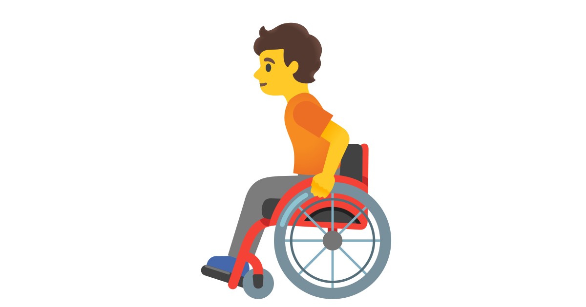 🧑‍🦽  Person In Manual Wheelchair