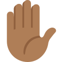 Twitter (Twemoji 14.0)  ✋🏾  Raised Hand: Medium-dark Skin Tone Emoji