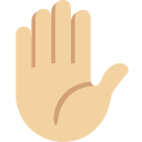 Twitter (Twemoji 14.0)  ✋🏼  Raised Hand: Medium-light Skin Tone Emoji