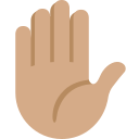 Twitter (Twemoji 14.0)  ✋🏽  Raised Hand: Medium Skin Tone Emoji