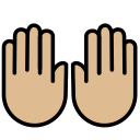 OpenMoji 13.1  🙌🏼  Raising Hands: Medium-light Skin Tone Emoji