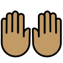 OpenMoji 13.1  🙌🏽  Raising Hands: Medium Skin Tone Emoji