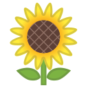 Google (Android 11.0)  🌻  Sunflower Emoji