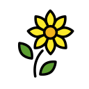 OpenMoji 13.1  🌻  Sunflower Emoji
