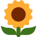 Twitter (Twemoji 14.0)  🌻  Sunflower Emoji