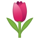 Google (Android 11.0)  🌷  Tulip Emoji
