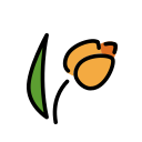 OpenMoji 13.1  🌷  Tulip Emoji